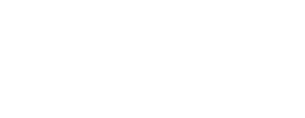 Logo EVISAM